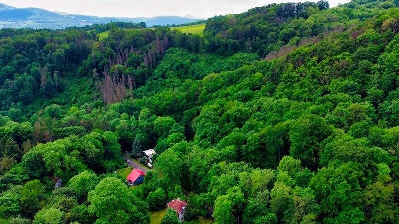 Obecní úřad Ryjice